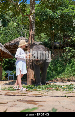 Teengirl Fütterung Elefant Kalb Stockfoto