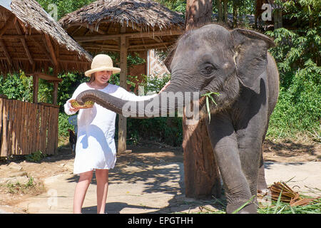 Teengirl Fütterung Elefant Kalb Stockfoto