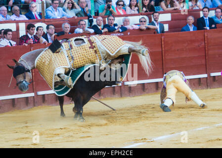 JEREZ DE LA FRONTERA, Spanien - 16.Mai: Stierkämpfer Cayetano Rivera während statt der Stierkampf auf der Messe in Jerez De La Frotera. Stockfoto