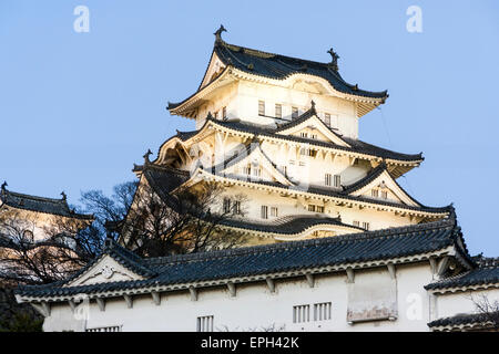 Die berühmte beliebte Touristenattraktion, der Hauptfund des Himeji Schlosses in Japan. Glühend, beleuchtet von Spotlichtern in der blauen Stunde kurz nach Sonnenuntergang. Stockfoto