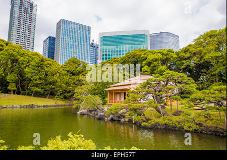 Hama-Rikyu Garten mit Wolkenkratzern im Hintergrund Stockfoto