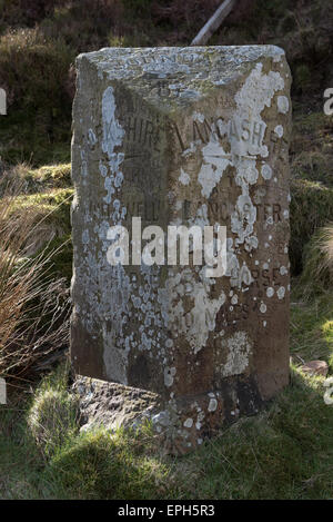 Steintrog Grenze von Bowland Stockfoto