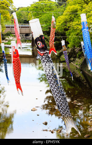 Koinobori Karpfenbanner, Windsocken, die über einem Fluss bei Kobe in Japan hängen. Geflogen, um Tango no sekku für den Kindertag zu feiern, Kodomo no Hi, am 5. Mai. Stockfoto