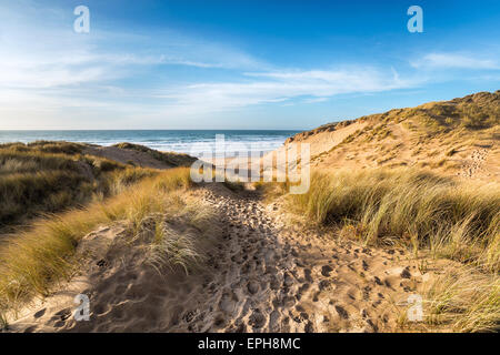 Ein Pfad führt durch die Sanddünen in Holywell Bay, ein großer Sandstrand, unterstützt durch Dünen in der Nähe von Newquay an der nördlichen Küste von Cornwa Stockfoto