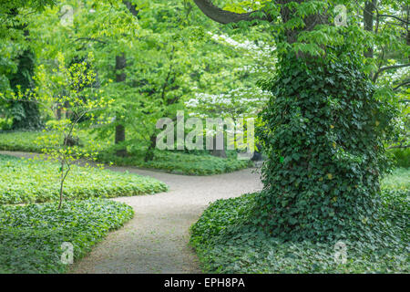 Botanischer Garten im Frühjahr Wroclaw Stockfoto