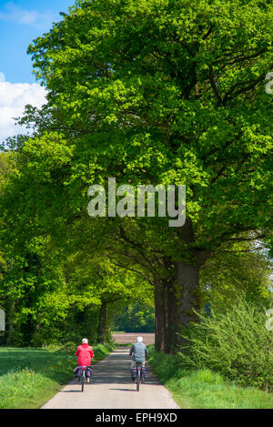 zwei Radfahrer auf kleinen Straßen in Achterhoek holland Stockfoto