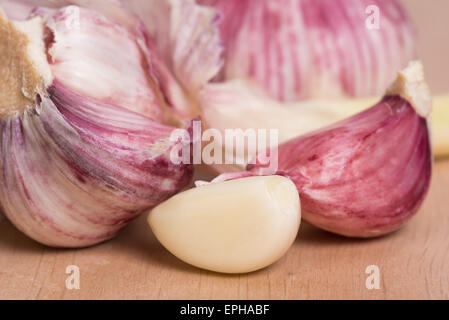 Knoblauch - Zehe und Knoblauchknolle auf einem Holztisch Stockfoto