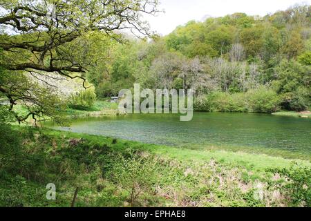 Nettledale Helmsley See Natur Wald malerischen Yorkshire Stockfoto