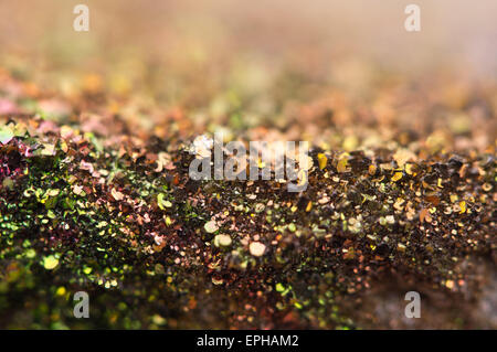 Markasit (FeS2) Eisen Sulfid mit orthorhombic Kristallstruktur. Makro. Schöne, fantastische Kulisse für erfolgreiche busines Stockfoto