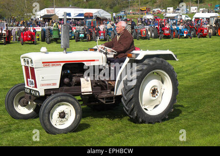 Royal Welsh-Frühlingsfest in Builth Wells, Wales, 1970er Jahre David Brown 885 Traktor in der Oldtimer-Traktor-Parade Mai 2015 Stockfoto