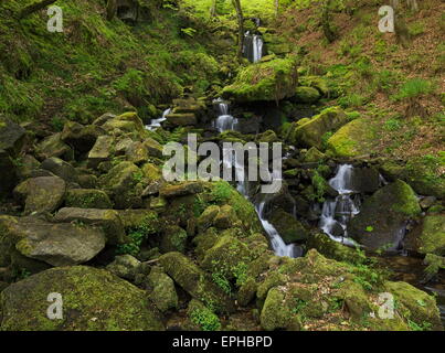 Wasserfall in der Nähe von Gibson Mühle, Hardcastle Klippen. Stockfoto