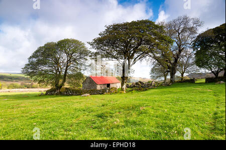 Eine alte Scheune im Emsworthy Mire auf Dartmoor National Park in Devon Stockfoto