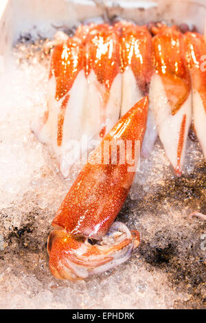 Tsukiji-Fischmarkt in Tokio, Japan Stockfoto