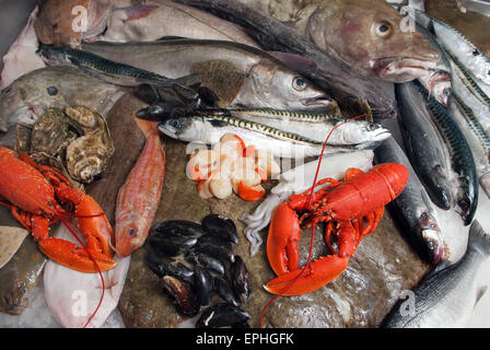 Eine Auswahl an Fisch und Meeresfrüchten auf einer Steinplatte Fischhändler in St.Ives,Cornwall,UK,including Fisch und shellfish.a UK Essen Lebensmittel Hummer Austern Stockfoto