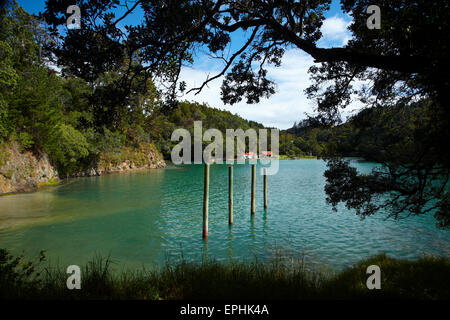 Omaha Cove, Leigh, North Auckland, Nordinsel, Neuseeland Stockfoto