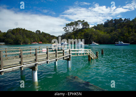 Omaha Cove, Leigh, North Auckland, Nordinsel, Neuseeland Stockfoto