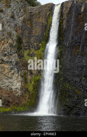 Hunua fällt, Hunua Ranges, Auckland, Nordinsel, Neuseeland Stockfoto