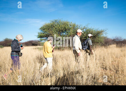 Afrika, Namibia. AfriCat Foundation. Touristen zu Fuß. Stockfoto