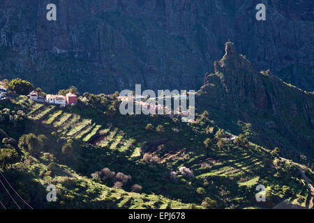 Masca Schlucht und Dorf, Teno-Gebirge, Teneriffa, Kanarische Inseln, Spanien, Europa Stockfoto