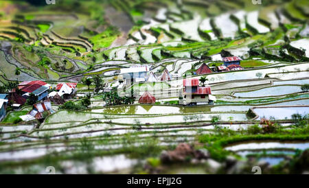 Tilt Shift Effekt Blick auf Reisfelder Terrassen und Dorf beherbergt in Ifugao Provinz Bergen. Banaue, Philippinen UNES Stockfoto