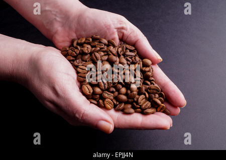 Hände halten Kaffeebohnen isoliert auf schwarz Stockfoto