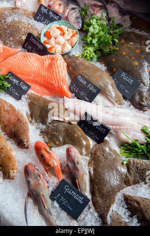 Eine Auswahl an frischem Fisch, Scholle, Seehecht und Knurrhahn auf einem Fischhändler einschließlich counter UK Stockfoto