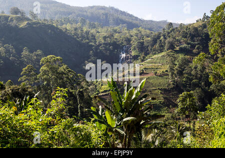 Rawana oder Ravana Falls Wasserfall, Ella, Badulla Bezirk, Uva Provinz, Sri Lanka, Asien Stockfoto