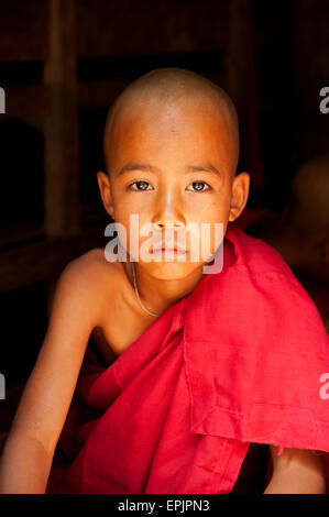 Porträt eines jungen Anfänger buddhistischen Mönchs vor einem schwarzen Hintergrund starrt aus einer Pagode Myanmar Burma Stockfoto