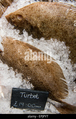 Eine Auswahl an frischem Fisch auch Steinbutt in einem Fischhändler Zähler UK Stockfoto