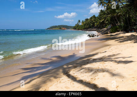 Tropische Landschaft mit Palmen und Sandstrand, Mirissa, Sri Lanka, Asien Stockfoto