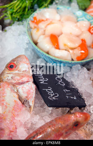 Eine Auswahl an frischem Fisch, einschließlich Rotbarbe und Jakobsmuscheln in einem Fischhändler Zähler UK Stockfoto