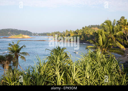Tropische Landschaft mit Palmen und blaues Meer, Mirissa, Sri Lanka, Asien Stockfoto
