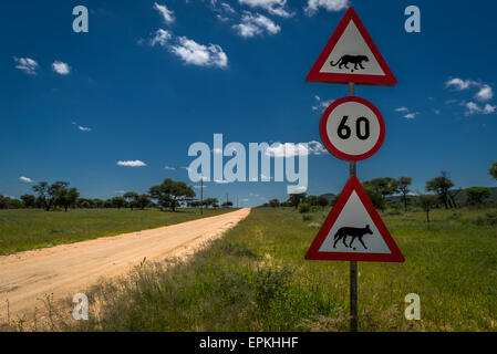 Straße und Verkehr Schilder mit Geschwindigkeitsbegrenzungen und Animal crossing, Okonjima, Namibia, Afrika Stockfoto