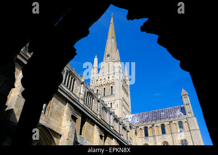 Norwich, Norfolk, England. Norwich Cathedral (1096-1145) von den Klöstern gesehen Stockfoto