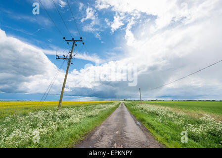 Cambridgeshire Fens, UK. 19. Mai 2015. Dramatische Himmel über die flache Landschaft der Cambridgeshire Fens als das es kühle Wetter bringt stürmische Duschen mit sonnigen Abschnitten. Bildnachweis: Julian Eales/Alamy Live-Nachrichten Stockfoto