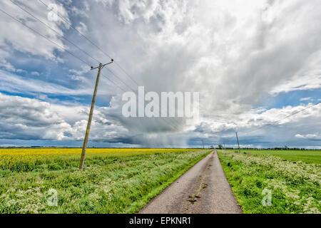 Cambridgeshire Fens, UK. 19. Mai 2015. Dramatische Himmel über die flache Landschaft der Cambridgeshire Fens als das es kühle Wetter bringt stürmische Duschen mit sonnigen Abschnitten. Bildnachweis: Julian Eales/Alamy Live-Nachrichten Stockfoto