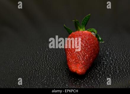 Frische rote einzelne Erdbeere isoliert auf dunklem Hintergrund, frisches Obst, Sommer Berry, roten Beeren, Erdbeere, Sommer Früchte Stockfoto