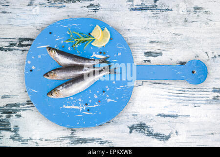 Drei frische Sardellen Fisch an Bord runden blauen Holzküche auf weißen und blauen Holztisch, Ansicht von oben. Kulinarischen Meeresfrüchte Konzept. Stockfoto