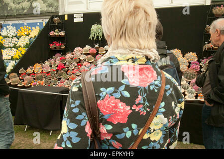 London UK. 19. Mai 2015. Große Menschenmengen teilnehmen am zweiten Tag die 2015 RHS Chelsea Flower Show ist nur für Mitglieder der Royal Horticultural Society Kredit: Amer Ghazzal/Alamy Live-Nachrichten Stockfoto