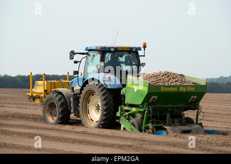 Standen H300 Big Boy Kartoffel Pflanzmaschine Stockfoto