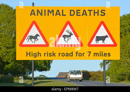 Schild Achtung Autofahrer über die ernste Gefahr von Unfällen mit roaming New Forest Ponys und anderen Tieren Hampshire England Großbritannien Stockfoto