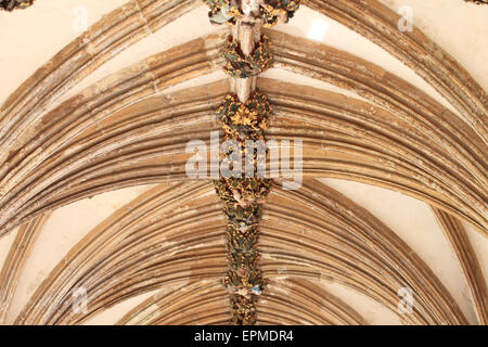 Misericord, dekorative Gesicht auf hohe Decke, Norwich Cathedral, Norfolk, Großbritannien Stockfoto