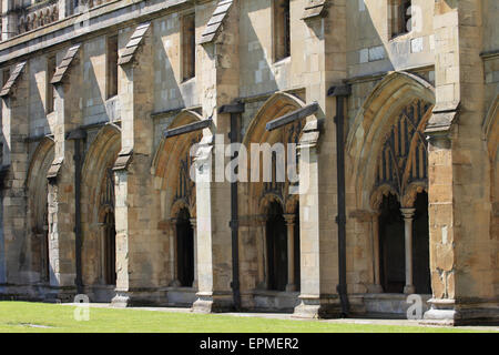 Abfluss Rohr Kathedrale Gebäude, Kathedrale von Norwich, Norfolk, Großbritannien Stockfoto