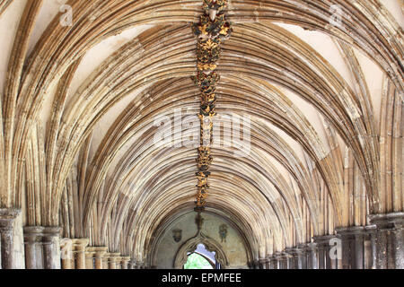 Arch, der Kathedrale von Norwich, Norwich, Norfolk, Großbritannien Stockfoto