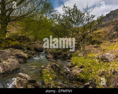 Englische Grafschaft Landschaft - Far Easedale Gill Stockfoto