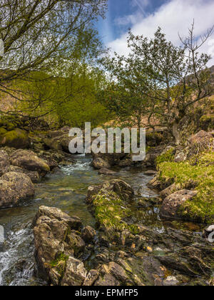 Englische Grafschaft Landschaft - Far Easedale Gill Stockfoto