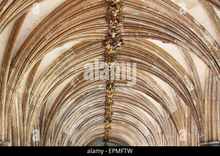 Arch, der Kathedrale von Norwich, Norwich, Norfolk, Großbritannien Stockfoto