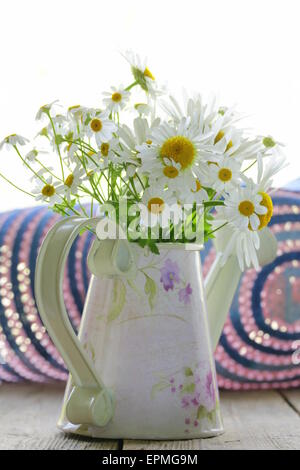 Bouquet von Gänseblümchen in eine alte Gießkanne, eine rustikale Stillleben Stockfoto