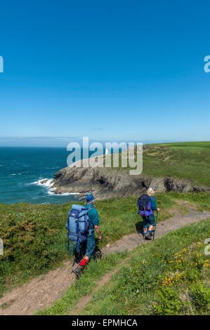 Die Wanderer entlang der Pembrokeshire Küste in der Nähe von Porthgain. Pembrokeshire. Wales. Cymru. UK Stockfoto