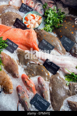 Eine Auswahl an frischem Fisch, Scholle, Seehecht und Knurrhahn auf einem Fischhändler einschließlich counter UK Stockfoto